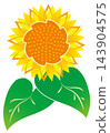 A symbolic illustration of a large, fully bloomed sunflower with its leaves. 143904575