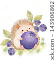 一隻刺蝟拿著一顆藍莓的插圖。 143906862