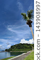 A summery resort-like landscape with palm trees and a coastline. 143908997