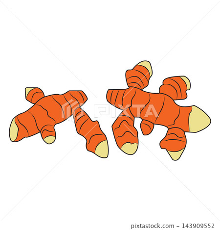 Fresh Turmeric Root with Slices and Leaves Vector Illustration Isolated on White Fresh Turmeric Root with Slices and Leaves Vector Illustration Isolated on White 143909552