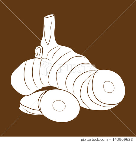 Minimalist Greater Galangal Spice Rhizome Vector for Food and Herbal Design 143909628