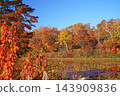Shiga Kogen in autumn Autumn leaves on the lotus pond 143909836