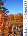 Shiga Kogen in autumn Autumn leaves on the lotus pond 143909838