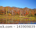 Shiga Kogen in autumn Autumn leaves on the lotus pond 143909839