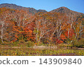 Shiga Kogen in autumn Autumn leaves on the lotus pond 143909840