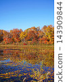 Shiga Kogen in autumn Autumn leaves on the lotus pond 143909844