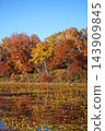 Shiga Kogen in autumn Autumn leaves on the lotus pond 143909845