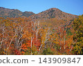Shiga Kogen in autumn Autumn leaves on the lotus pond 143909847