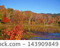 Shiga Kogen in autumn Autumn leaves on the lotus pond 143909849
