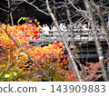 Otowayama Kiyomizu-dera Temple Landscape Image Bokeh 143909883