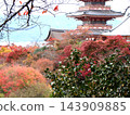 Otowayama Kiyomizu-dera Temple Landscape Image Bokeh 143909885