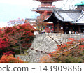 Otowayama Kiyomizu-dera Temple Landscape Image Bokeh 143909886