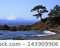 從這裡可以眺望立石海岸，遠眺富士山、大海和松樹。 143909906