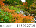 Autumn foliage scenery at Inobuchi in Oihei Park 143912719