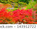 Autumn leaves and the suspension bridge at Oihei Park 143912722