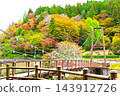 Autumn leaves and the suspension bridge at Oihei Park 143912726