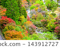 The beautiful autumn foliage along the Nagura River in Oihei Park 143912727