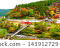 Beautiful autumn foliage scenery at Oihei Park 143912729