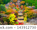 Autumn foliage scenery at Oihei Park 143912730