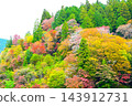 Beautiful autumn foliage scenery at Oihei Park 143912731