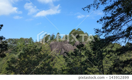 森林中聳立著巨大的鬼岩石 森林中聳立著巨大的鬼岩石 143912899