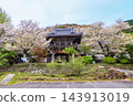 The main gate and cherry blossoms of Daisenji Temple, a Jodo Shinshu Honganji sect temple located in Toyoura-cho, Shimonoseki City. 143913019