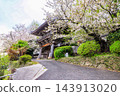 Daisenji Temple, a Jodo Shinshu Honganji sect temple located in Toyoura-cho, Shimonoseki City, is known for its cherry blossoms. 143913020