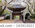 Daisenji Temple, a Jodo Shinshu Honganji sect temple located in Toyoura-cho, Shimonoseki City, is known for its cherry blossoms. 143913021