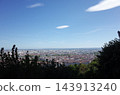 View of Lyon from Fourvière Hill 143913240