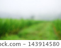 Abstract out of focus shot of a lush green meadow covered in thick white fog blurry background. This soft bokeh effect creates a peaceful, serene, and tranquil atmosphere 143914580