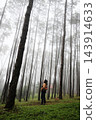 Smiling Asian woman with backpack wearing yellow jacket standing amidst tall pine trees and looking up at the misty canopy in forest with morning mist and fog travel in Thailand. Vertical photo 143914633