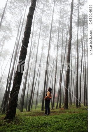 Smiling Asian woman with backpack wearing yellow jacket standing amidst tall pine trees and looking up at the misty canopy in forest with morning mist and fog travel in Thailand. Vertical photo Smiling Asian woman with backpack wearing yellow jacket standing amidst tall pine trees and looking up at the misty canopy in forest with morning mist and fog travel in Thailand. Vertical photo 143914633