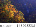山上轉紅葉 143915538