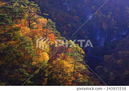 山上轉紅葉 山上轉紅葉 143915538