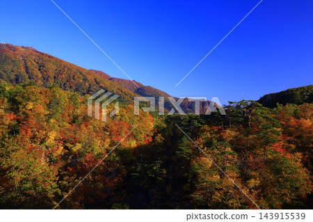 山上轉紅葉 143915539