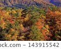 山上轉紅葉 143915542