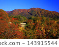 山上轉紅葉 143915544