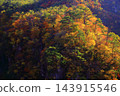 山上轉紅葉 143915546