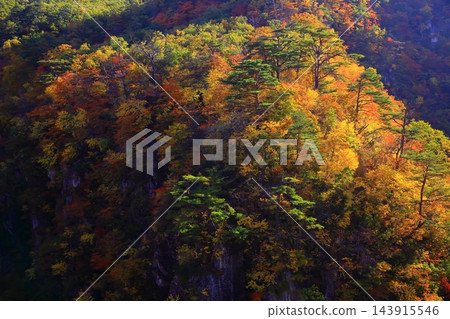 山上轉紅葉 山上轉紅葉 143915546
