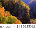 山上轉紅葉 143915548