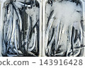 Fresh Garfish Arranged on Ice in a Foam Box. 143916428