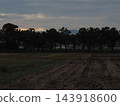 Meadow illuminated by the setting sun 143918600