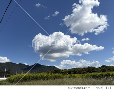 白雲碧山，碧空如洗。 143919171
