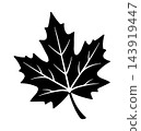 black fall maple leaf silhouette without background 143919447