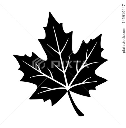black fall maple leaf silhouette without background 143919447