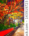 Autumn Kyoto Gion Shirakawa 143919723