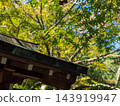 神社和秋葉的鳥居 143919947