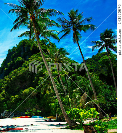 beautiful tropical beach sea and sand with coconut palm tree on blue sky and white cloud 143920676