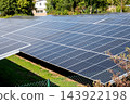 A large solar panel array framed by green shrubs near the house in the little city, illustrating renewable energy, sustainable power generation and clean technology in an outdoor solar farm setting un 143922198