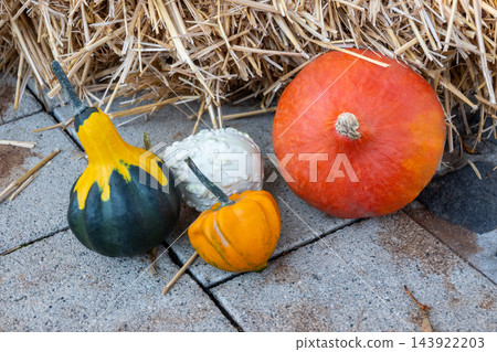 Orange, green, yellow fresh pumpkins on the street. Autumn nature background for Halloween decoration or cookin. Vegetables market. 143922203